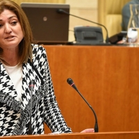 PP: “Es patético que la Junta venda como suyos programas del Ministerio”