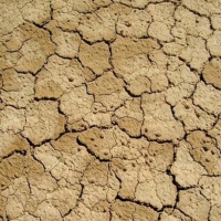 Asaja denuncia que los créditos de sequía aún no se pueden solicitar