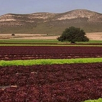 Se amplía el perímetro de la zona regable de ‘Tierra de Barros’