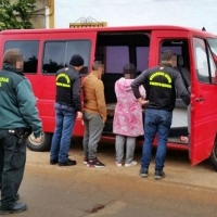 Detenidos tres miembros de una familia por robar 27 toneladas de aceitunas