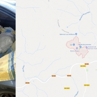 Sorprendidos mientras robaban 200 kilos de piñas en el sur de Badajoz
