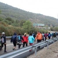 La IV Ruta Canchal Negro discurrirá entre castaños centenarios