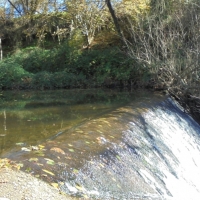 La Confederación del Tajo restaurará el cauce del Alagón