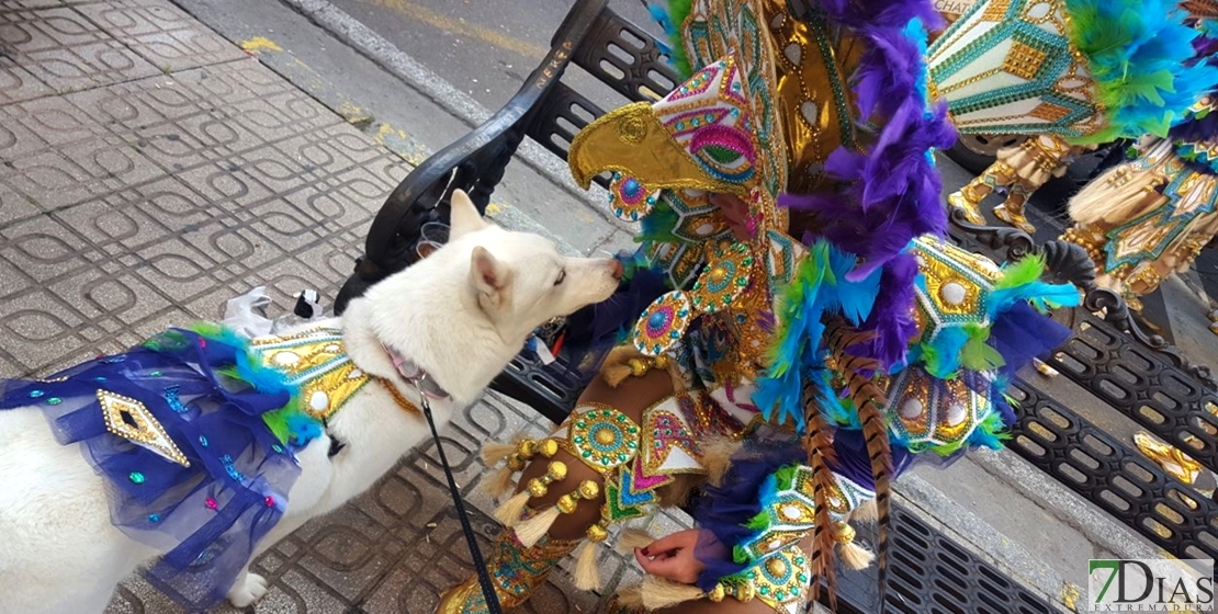 Buen ambiente en San Roque para despedir el Carnaval de Badajoz 2018