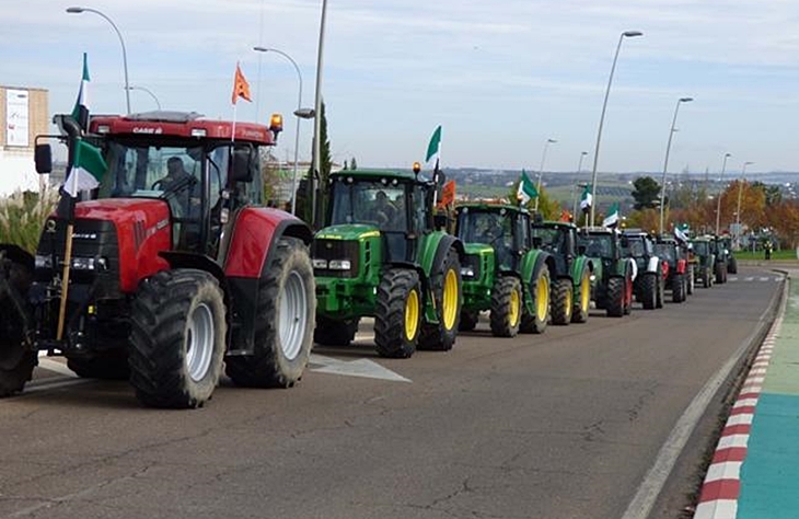 Convocan una tractorada por los bajos precios del sector agrogadero