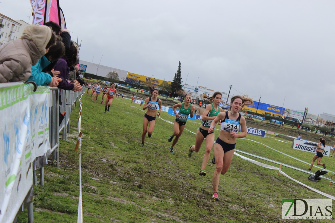 Imágenes del Campeonato de España de Campo a Través