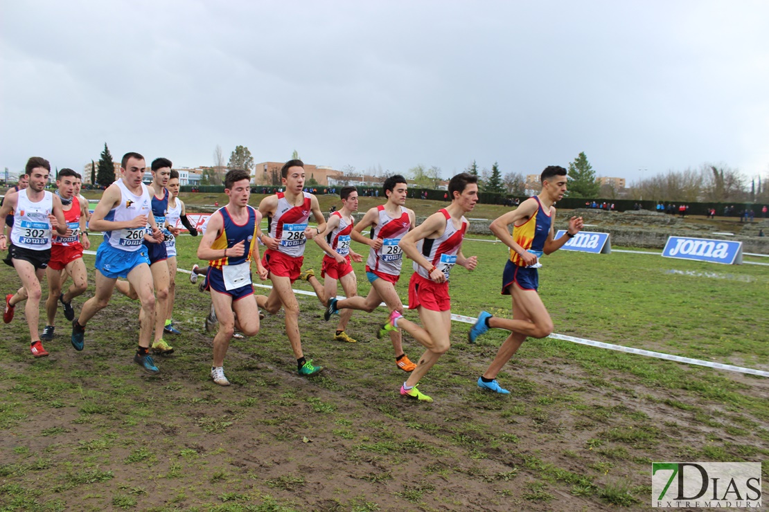 Imágenes del Campeonato de España de Campo a Través