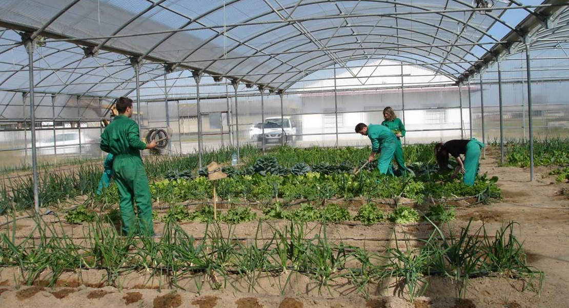 Luz verde a las reformas de los centros de formación de Medio Ambiente y Rural
