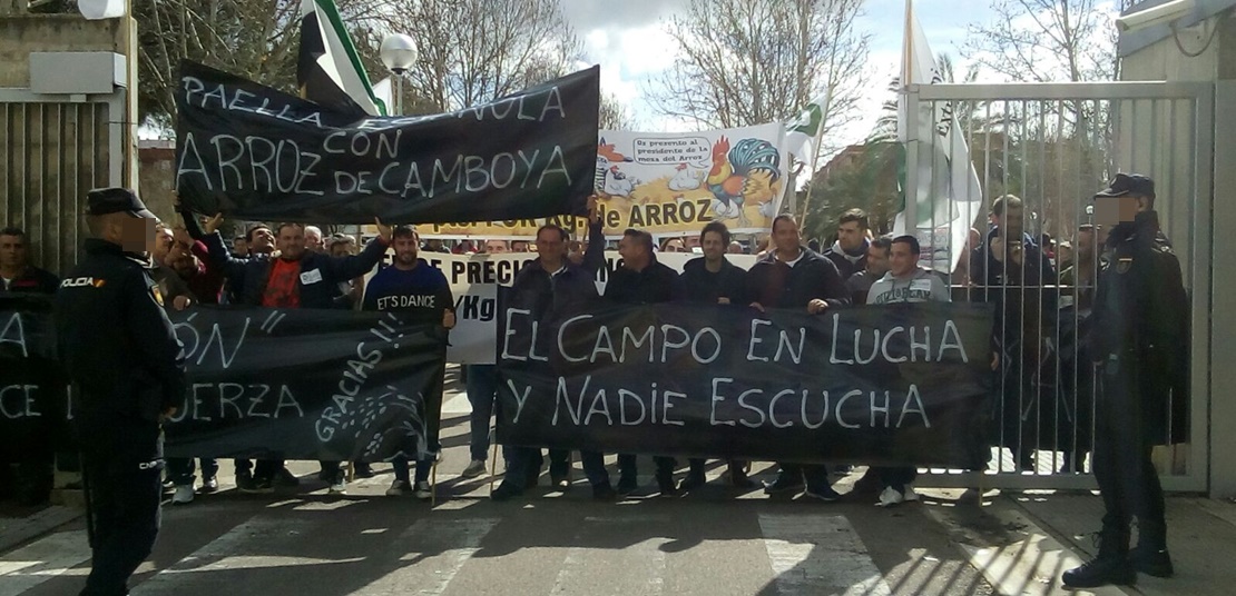 Los agricultores protestan ante Feval para reclamar un precio “justo” del arroz