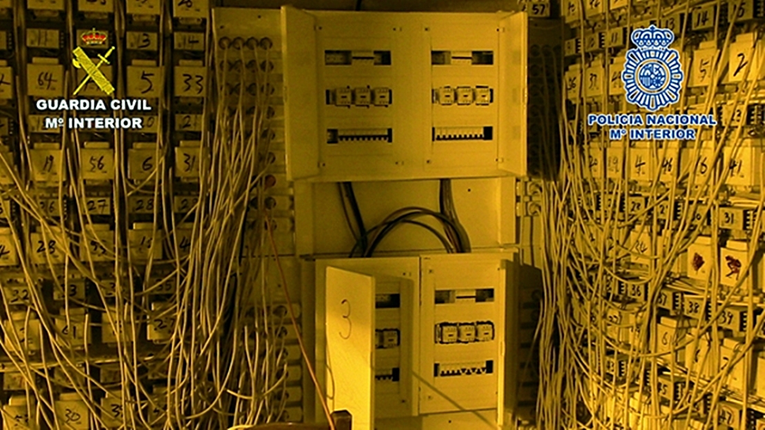 Desarticulada una organización de origen chino dedicada a la producción y venta de marihuana