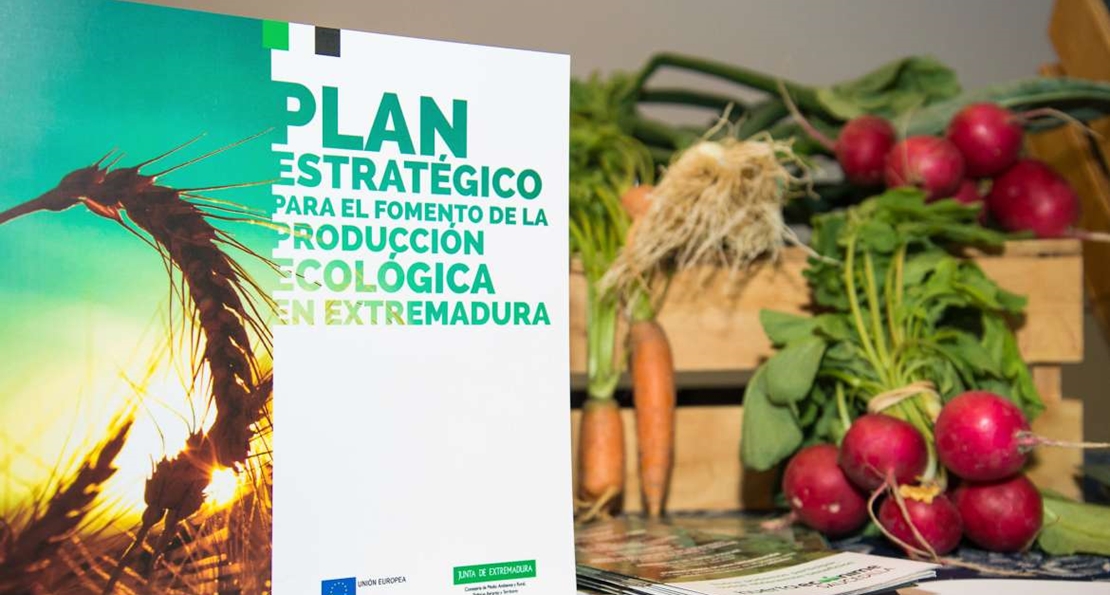 OPINIÓN: Producción ecológica, un paleo de millones