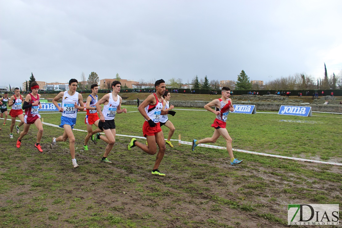 Imágenes del Campeonato de España de Campo a Través