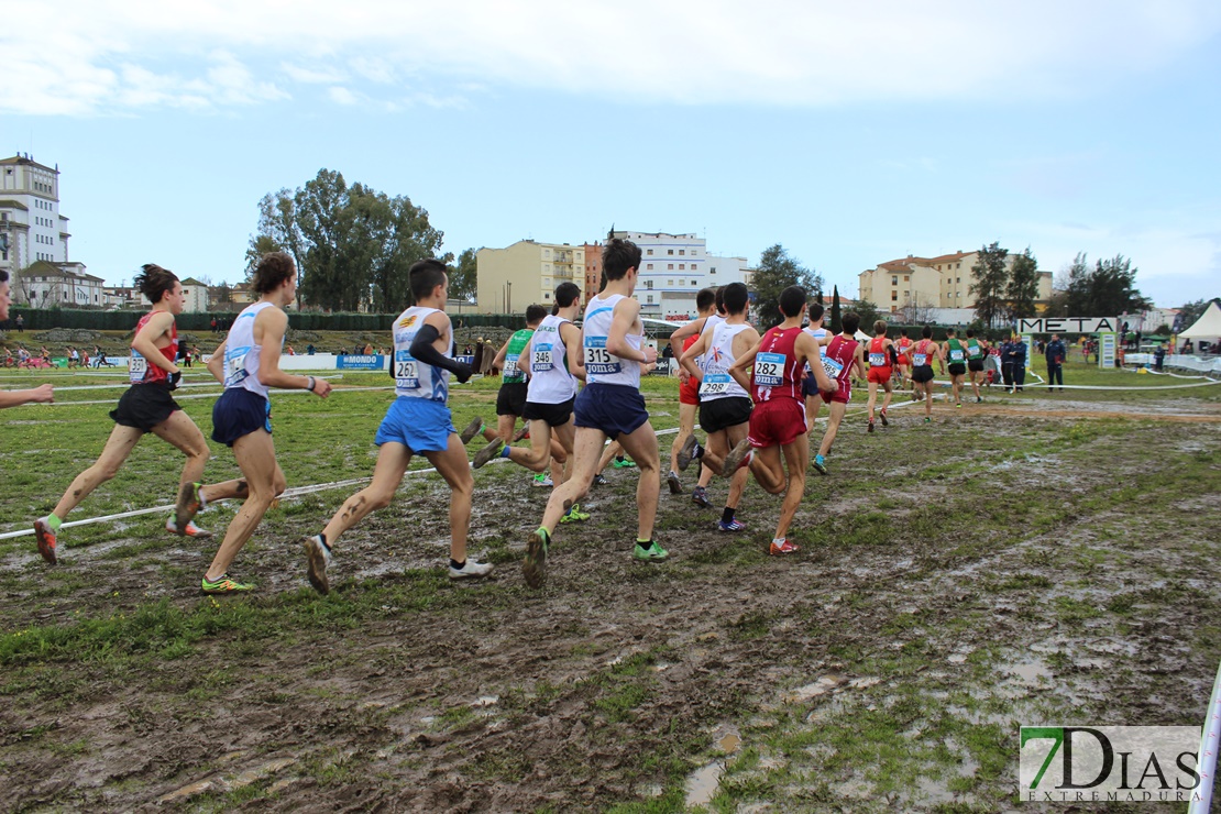 Imágenes del Campeonato de España de Campo a Través