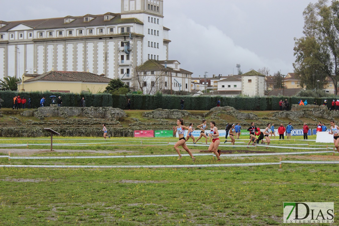 Imágenes del Campeonato de España de Campo a Través