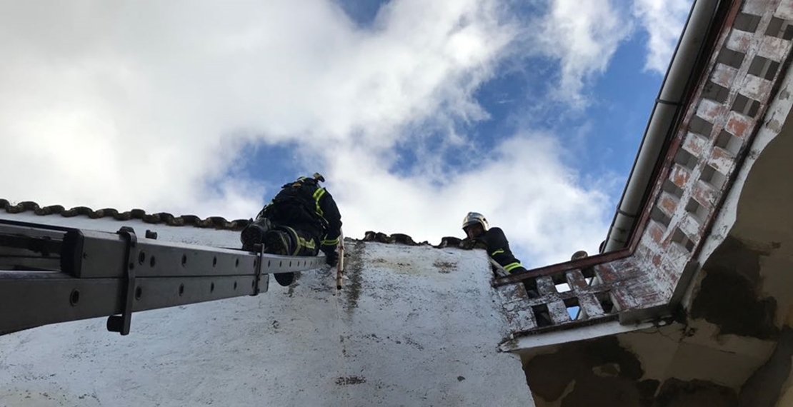 La Borrasca Emma causa numerosos daños en Badajoz y Zafra