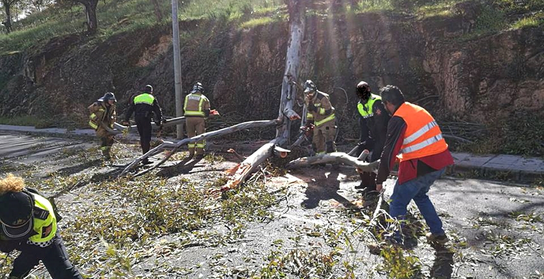 La Borrasca Emma causa numerosos daños en Badajoz y Zafra