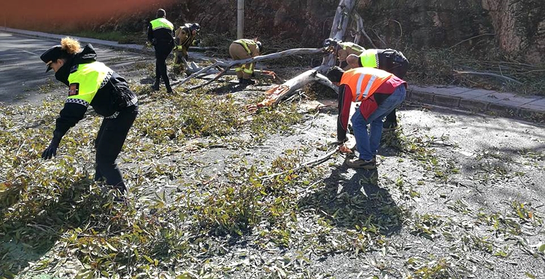 La Borrasca Emma causa numerosos daños en Badajoz y Zafra