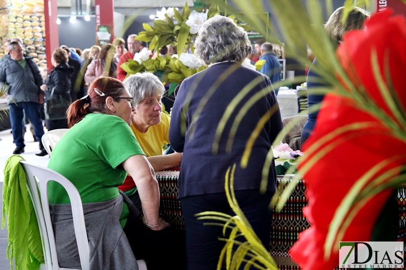 Imágenes de la Inauguración de la Feria de Mayores 2018