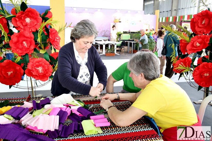 Imágenes de la Inauguración de la Feria de Mayores 2018