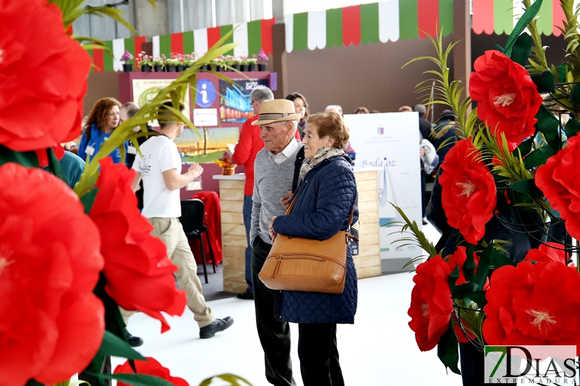 Imágenes de la Inauguración de la Feria de Mayores 2018