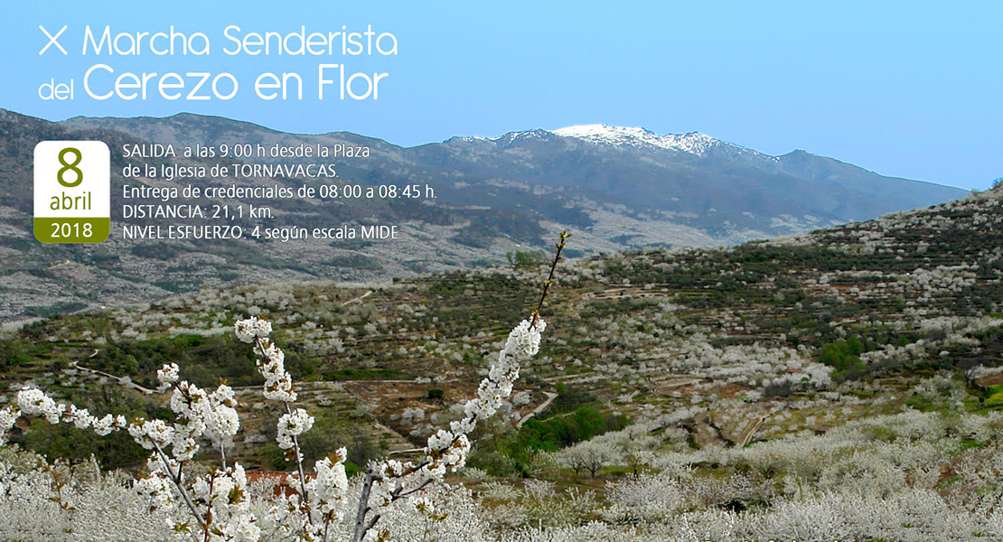 El 8 de abril tendrá lugar la X Marcha Senderista Del Cerezo en Flor en el Valle del Jerte