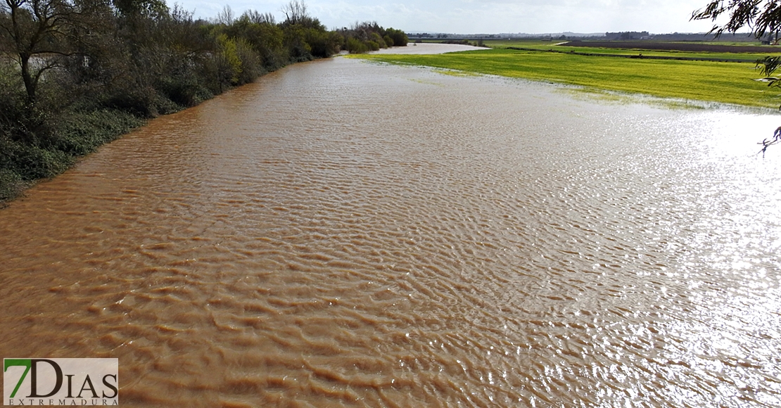 Así bajan los ríos en las comarcas de Sierra de San Pedro, Alcántara y Los Baldíos