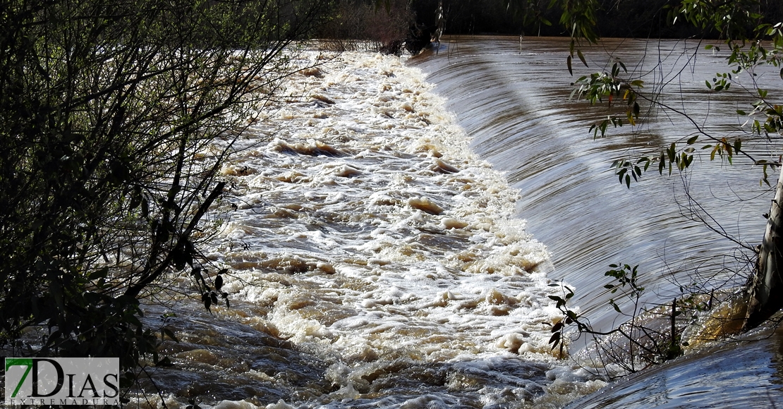 Así bajan los ríos en las comarcas de Sierra de San Pedro, Alcántara y Los Baldíos