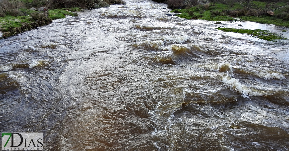 Así bajan los ríos en las comarcas de Sierra de San Pedro, Alcántara y Los Baldíos