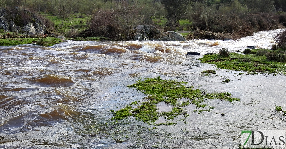 Así bajan los ríos en las comarcas de Sierra de San Pedro, Alcántara y Los Baldíos