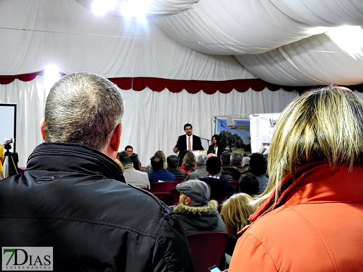 Las Jornadas del Gurumelo reúnen en Villanueva del Fresno a miles de personas