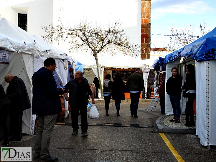 Las Jornadas del Gurumelo reúnen en Villanueva del Fresno a miles de personas