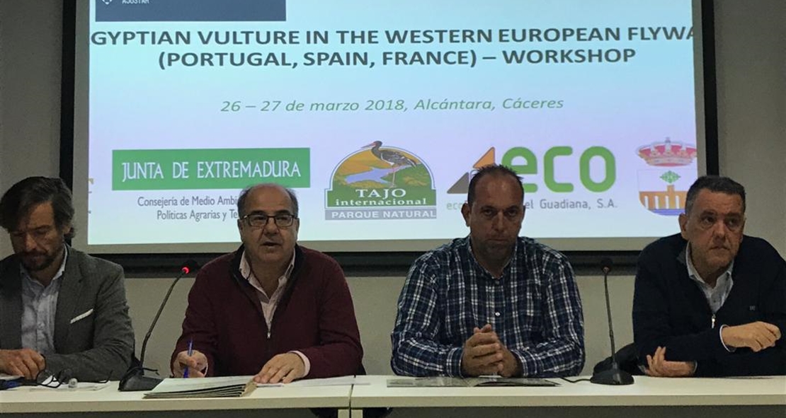 España, Portugal y Francia se unen en Extremadura para ayudar al alimoche