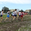 Imágenes del Campeonato de España de Campo a Través