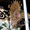 La Soledad, San Agustín y la Concepción inundan de fe las calles del Casco Antiguo