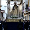 La Soledad, San Agustín y la Concepción inundan de fe las calles del Casco Antiguo