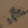 La invasión del camalote vuelve a desbordar el Guadiana