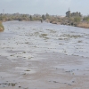 La invasión del camalote vuelve a desbordar el Guadiana