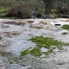 Así bajan los ríos en las comarcas de Sierra de San Pedro, Alcántara y Los Baldíos