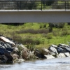 Cruz Roja realiza prácticas subacuáticas en el río Guadiana