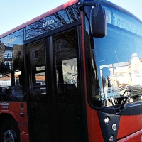 2 nuevos vehículos y 4 despidos, así comienza la nueva red de bus