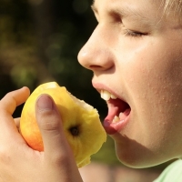 Luz verde al Programa Escolar de Frutas y Hortalizas en colegios extremeños
