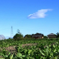 Upa-Uce denuncia las bajas pensiones de los agricultores y ganaderos