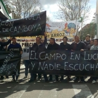 Los agricultores protestan en FEVAL para reclamar un precio “justo” del arroz