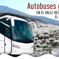 Bus gratuito para recorrer el Jerte durante el Cerezo en Flor