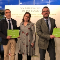 Premian a Carrefour por sus muebles de madera sostenible