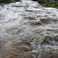 Así bajan los ríos en las comarcas de Sierra de San Pedro, Alcántara y Los Baldíos
