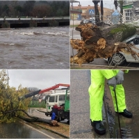 Imágenes que deja la Borrasca Gisele en Extremadura