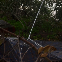 Alerta por viento: Sube a naranja en Cáceres y se amplía en Badajoz