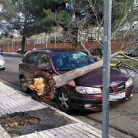 El 112 atendió ayer 100 llamadas relacionadas con el temporal