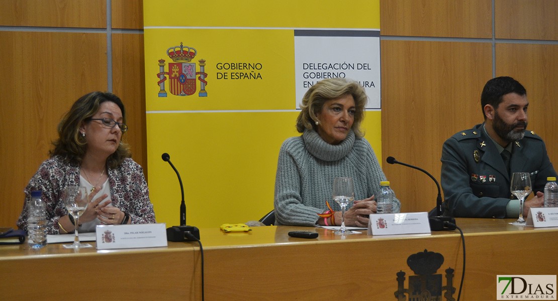 Aumentan las personas que no usan cinturón de seguridad en la ciudad